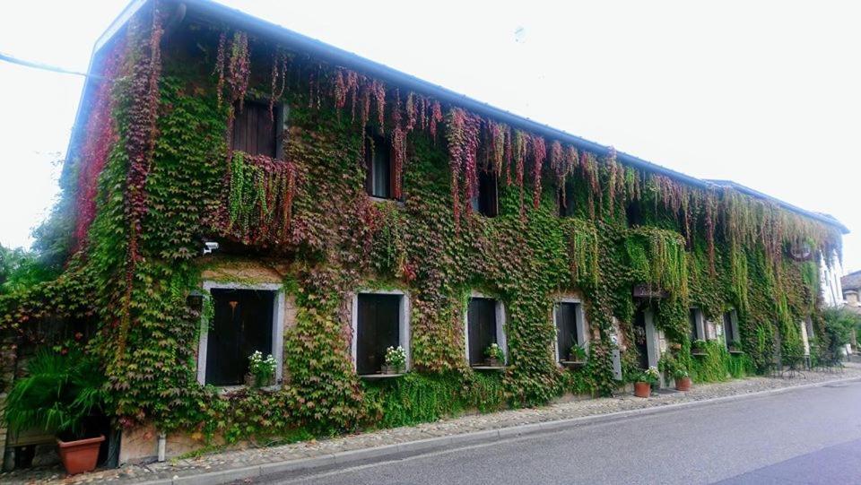 普林斯帕特迪阿利斯酒店 Rivignano 外观 照片